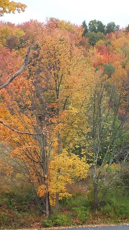 Margaretville Mountain Inn B&B Luaran gambar