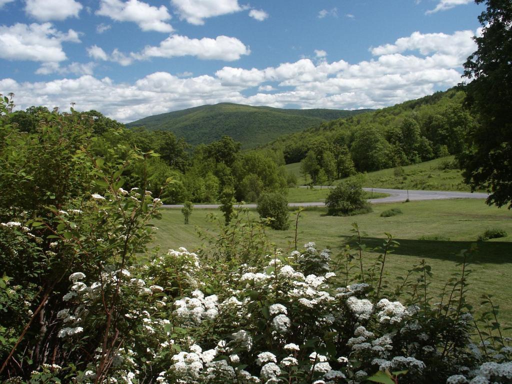Margaretville Mountain Inn B&B Luaran gambar